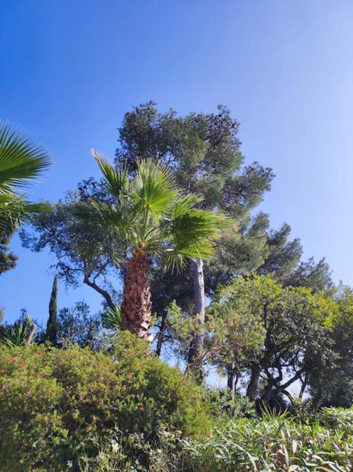 La Californienne Villa Carqueiranne Dış mekan fotoğraf