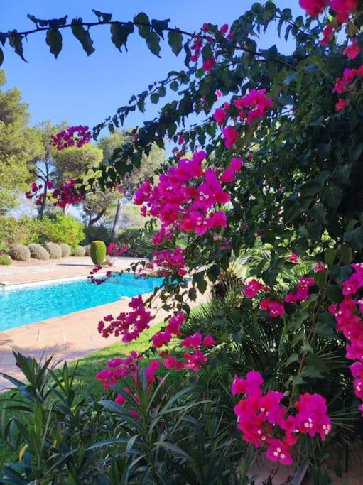 La Californienne Villa Carqueiranne Dış mekan fotoğraf