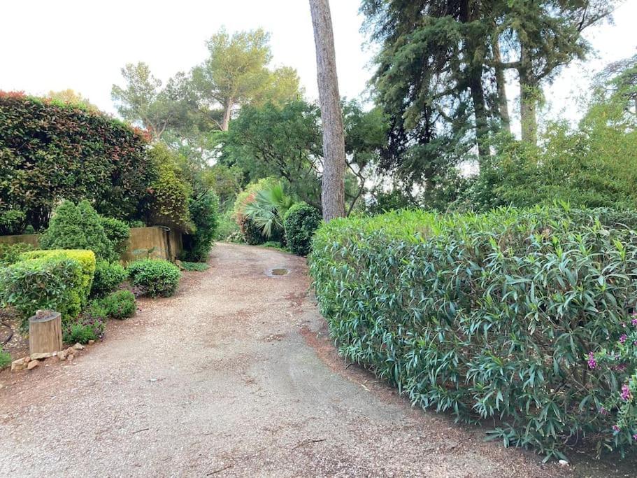 La Californienne Villa Carqueiranne Dış mekan fotoğraf