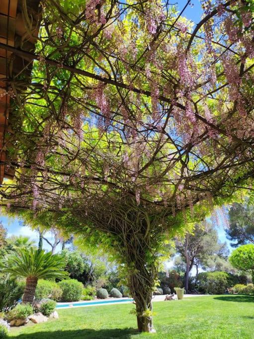 La Californienne Villa Carqueiranne Dış mekan fotoğraf